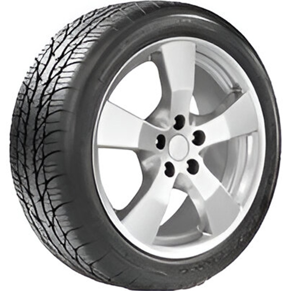 BFGoodrich g-Force Super Sport A/S All Season Tires
