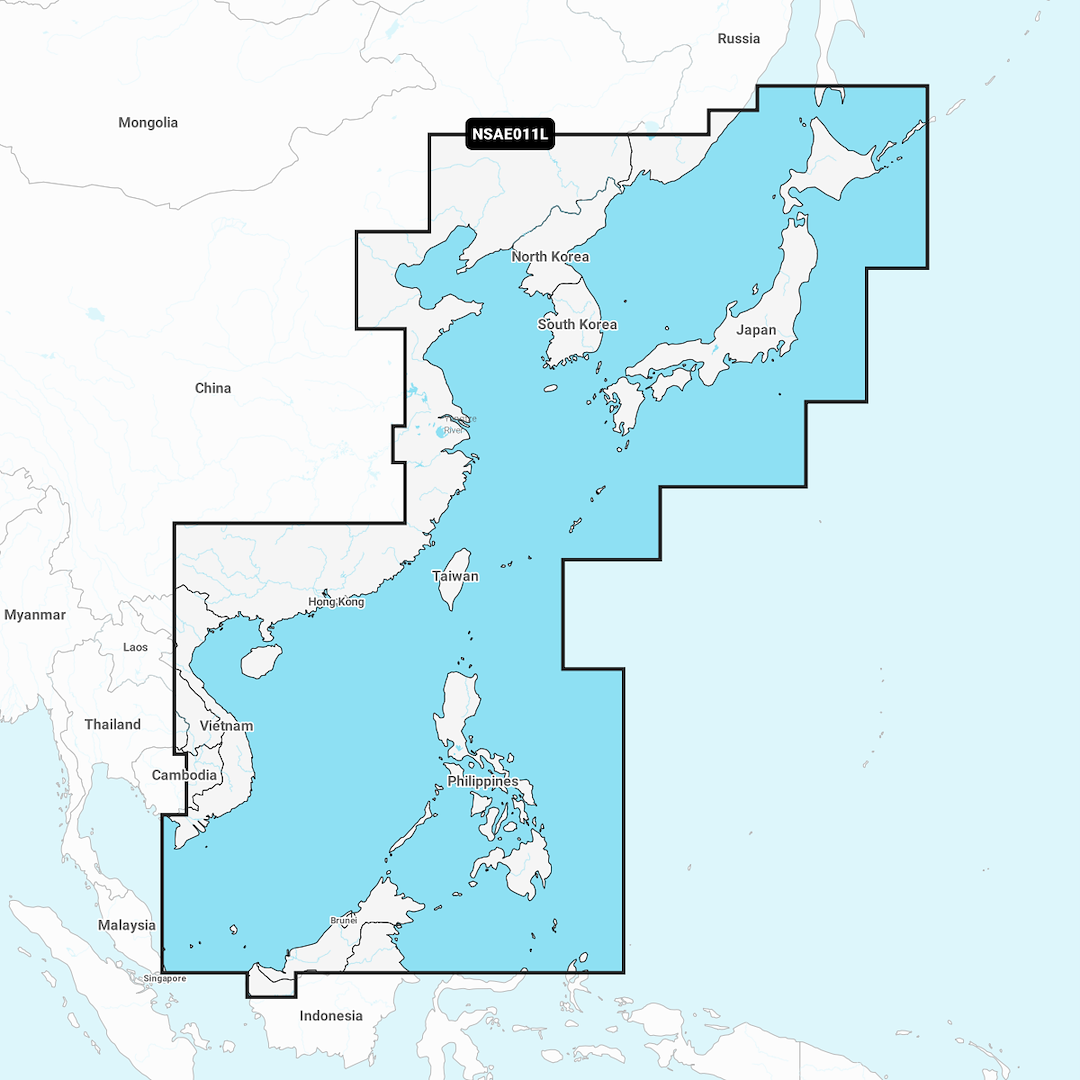 Garmin Navionics+ Marine Cartography 010-C1214-20