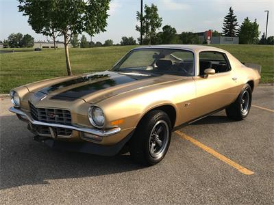 1973 Chevrolet Camaro - community ride shared on PartsEngine