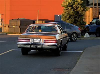 1979 Chrysler Newport - community ride shared on PartsEngine