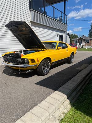1970 Ford Mustang - community ride shared on PartsEngine