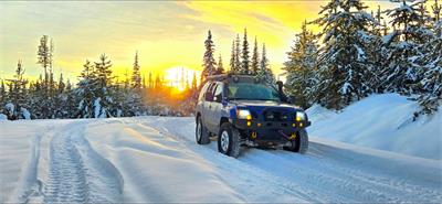 2015 Nissan Xterra - community ride shared on PartsEngine