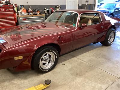 1979 Pontiac Trans am - community ride shared on PartsEngine